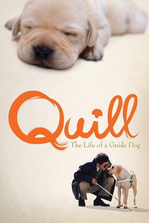 Quill: The Life of a Guide Dog 2004 official movie poster