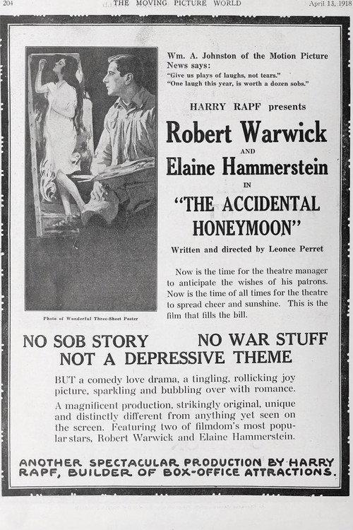 The Accidental Honeymoon 1918 official movie poster