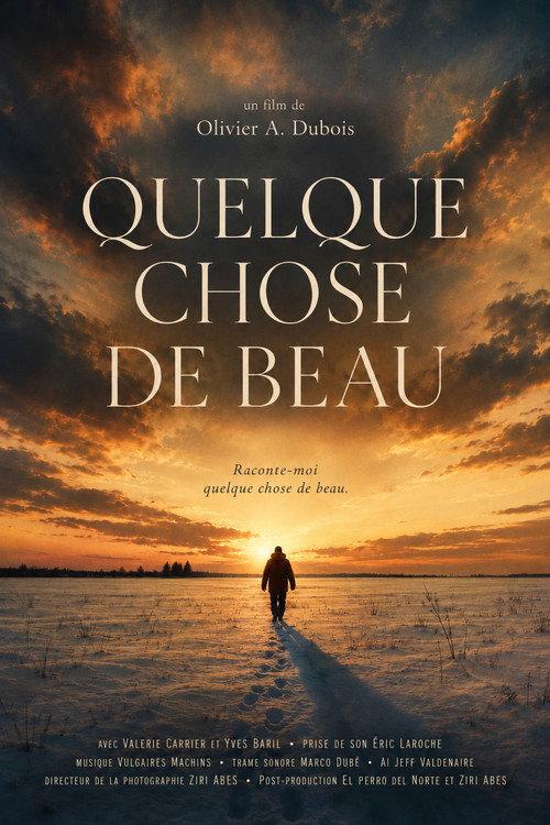 Something Beautiful - Quelque chose de beau 2026 official movie poster