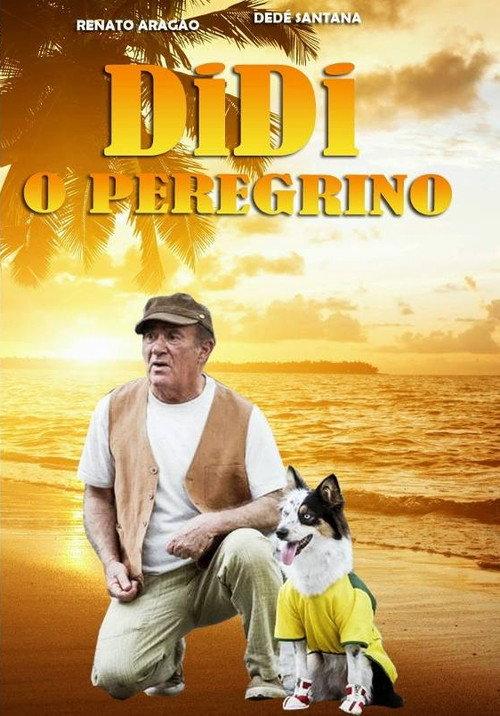 Didi the Pilgrim 2013 official movie poster