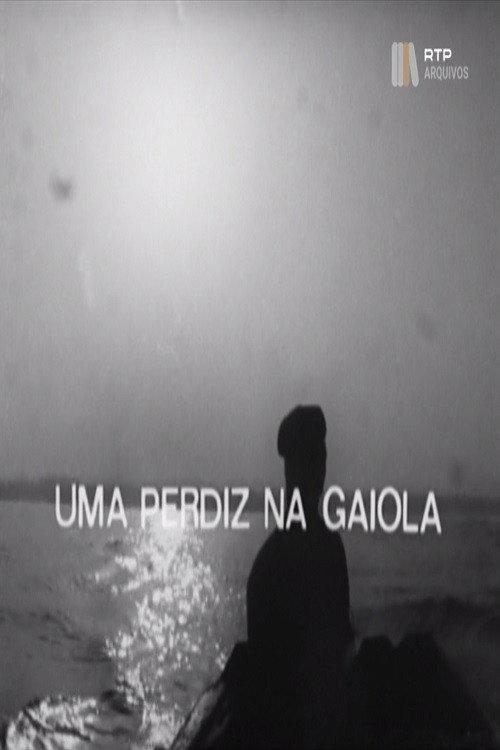 Uma Perdiz na Gaiola 1976 official movie poster