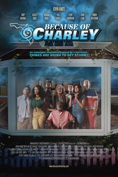 Because of Charley 2021 official movie poster