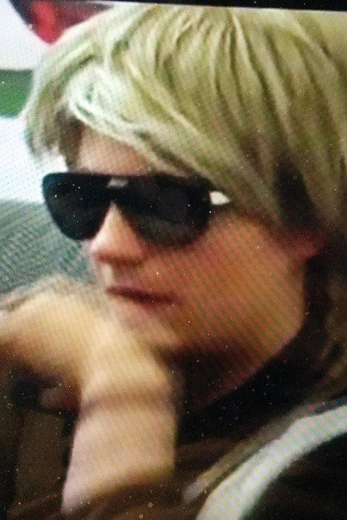 Terminator - a film about JT LeRoy 2002 official movie poster