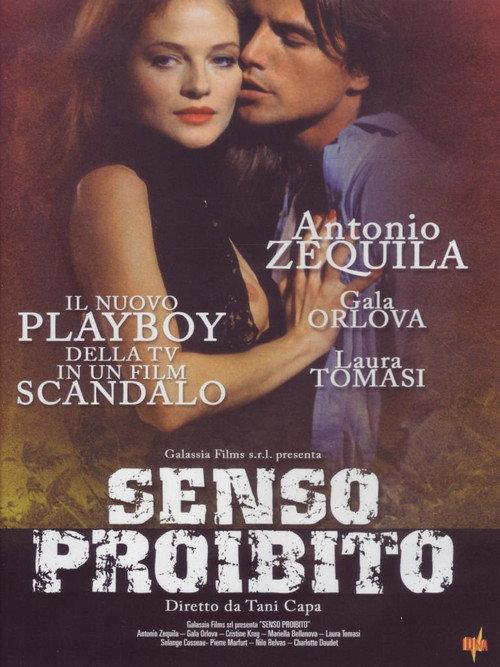 Senso proibito 1995 official movie poster