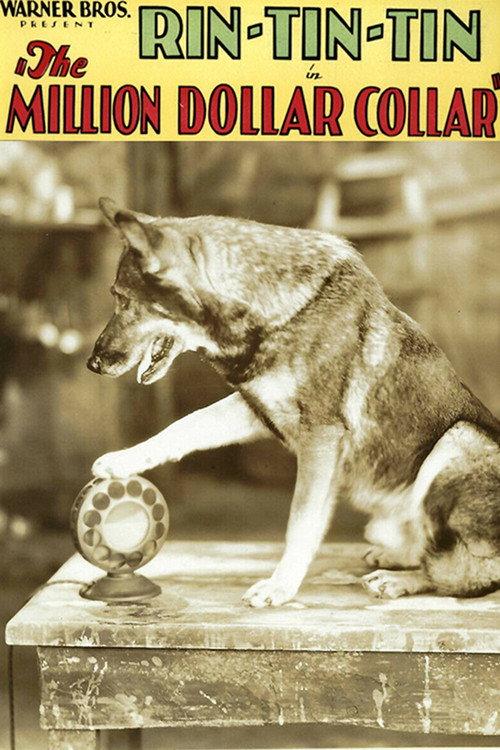 The Million Dollar Collar 1929 official movie poster