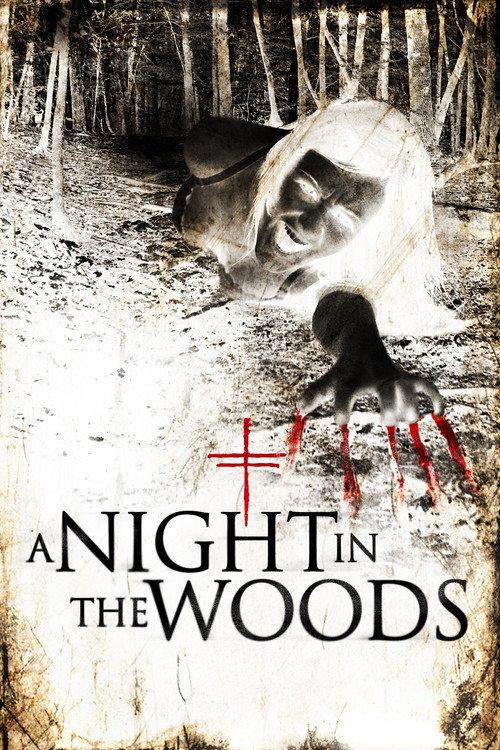 A Night in the Woods 2011 official movie poster
