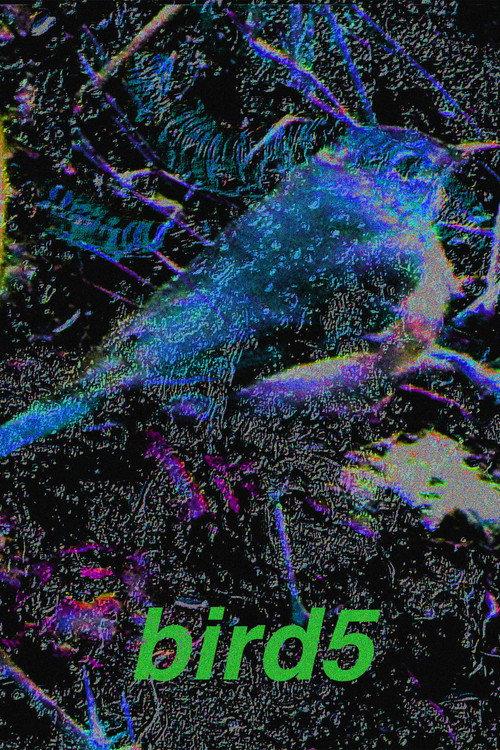 bird5.mp4 2025 official movie poster