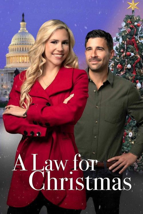 A Law for Christmas 2023 official movie poster