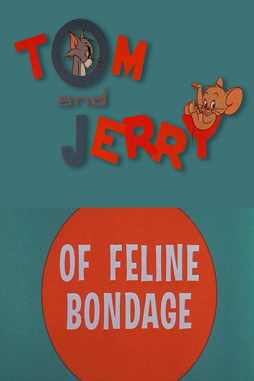 Of Feline Bondage 1965 official movie poster