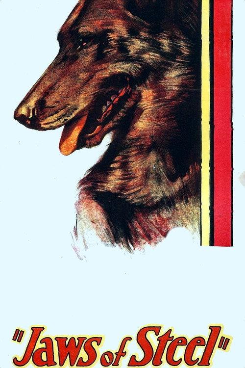 Jaws of Steel 1927 official movie poster