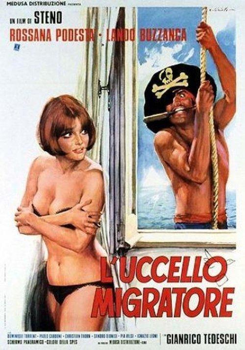 The Migratory Bird 1972 official movie poster