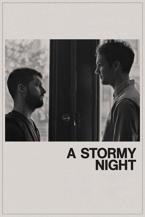 A Stormy Night 2020 official movie poster