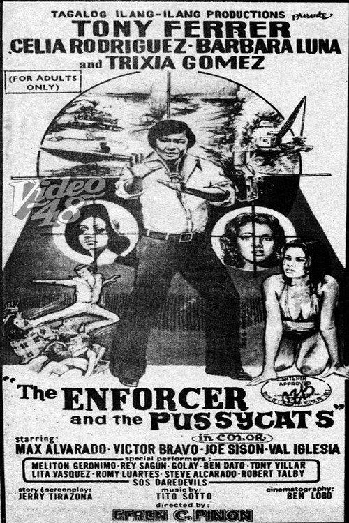 The Enforcer and the Pussycats 1977 official movie poster