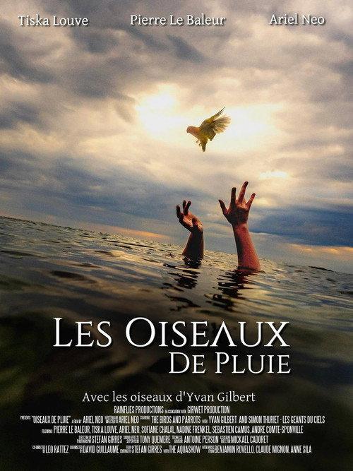 Les Oiseaux de pluie 2025 official movie poster