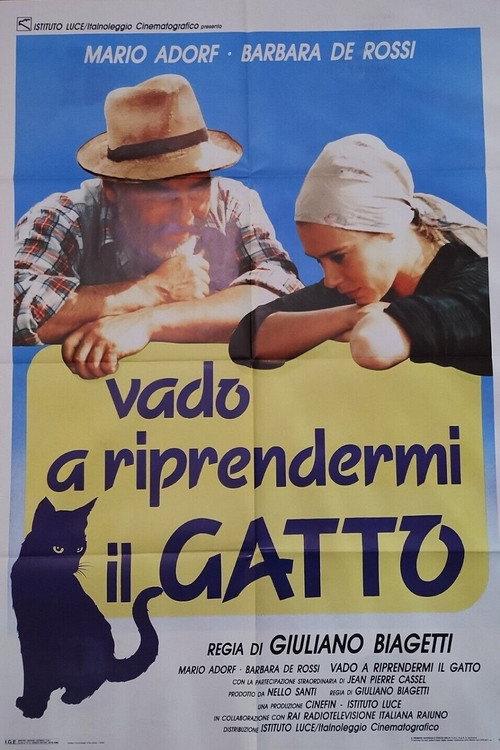 Vado a riprendermi il gatto 1989 official movie poster