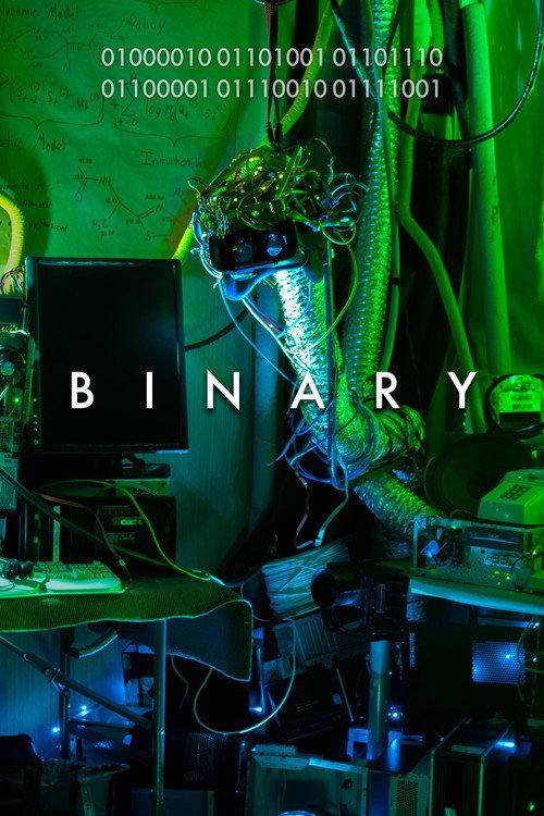 Binary 2019 official movie poster