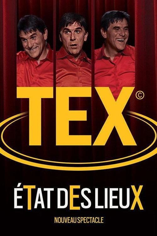 Tex - Etat des lieux 2017 official movie poster