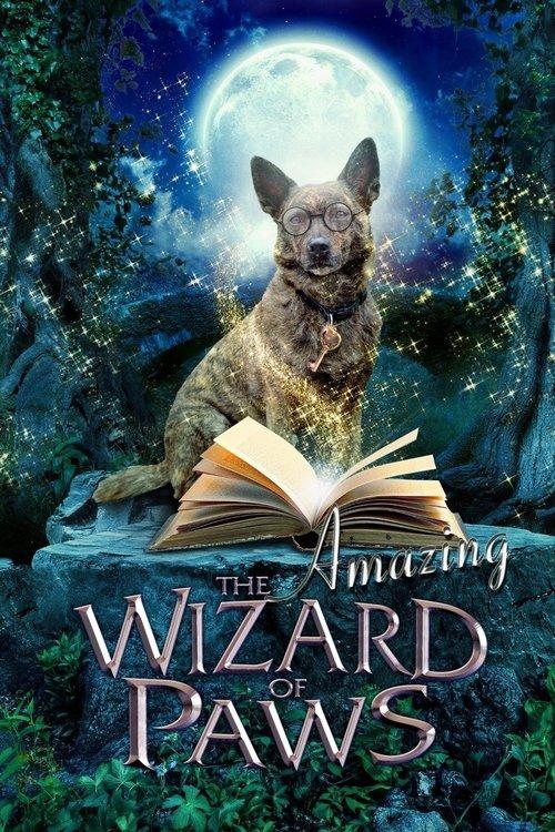The Amazing Wizard of Paws 2015 official movie poster