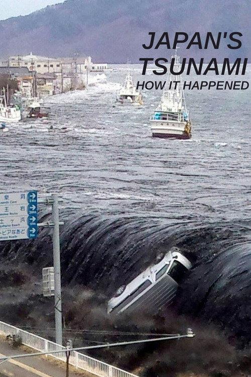Japan's Tsunami: How It Happened 2011 official movie poster