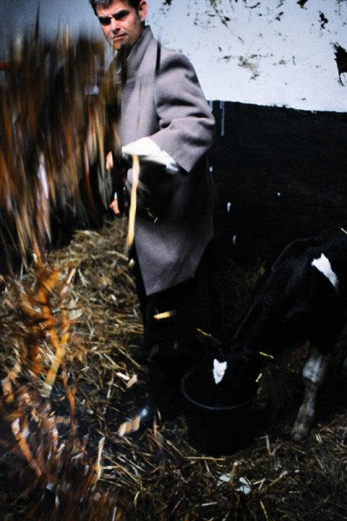 Milk Fever 2004 official movie poster