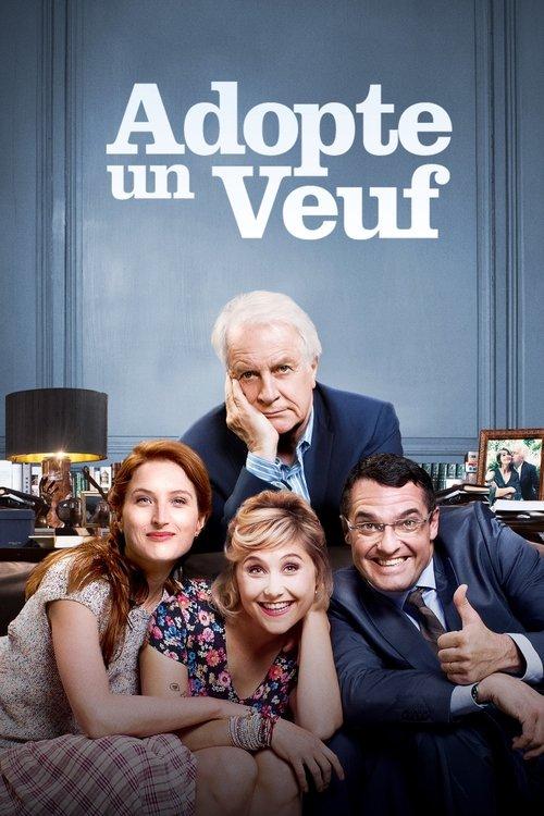 Roommates Wanted 2016 official movie poster