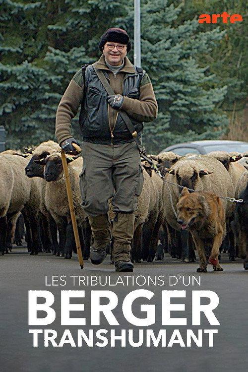 Les tribulations d'un berger transhumant 2021 official movie poster
