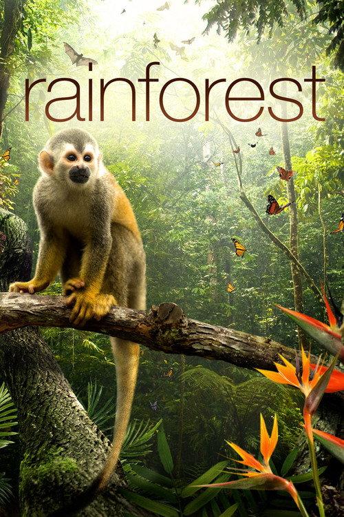 Secret Life of the Rainforest 2012 official movie poster