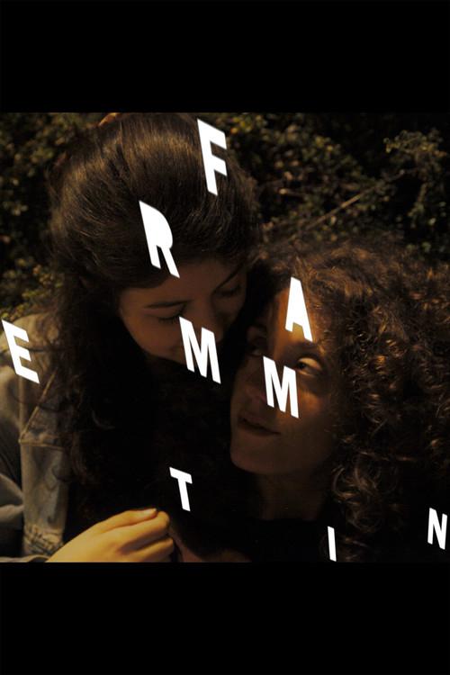 Frammenti 2019 official movie poster