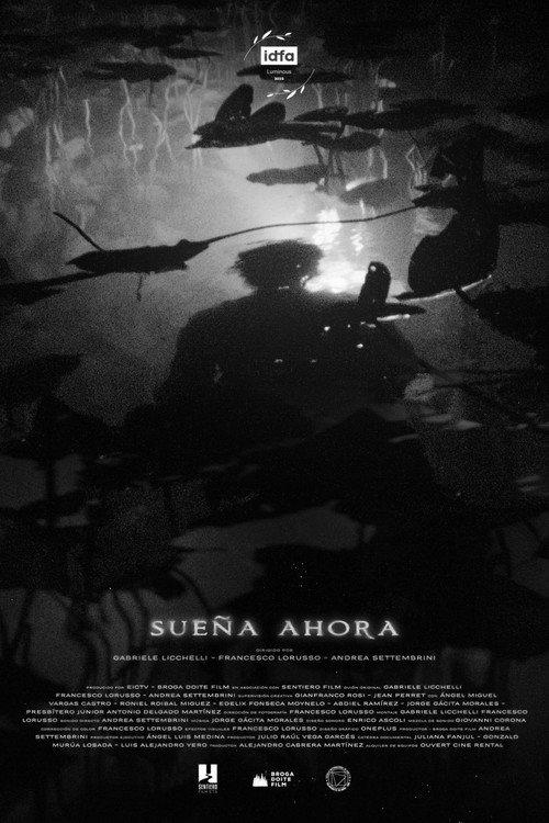 Blackout Dreams 2025 official movie poster