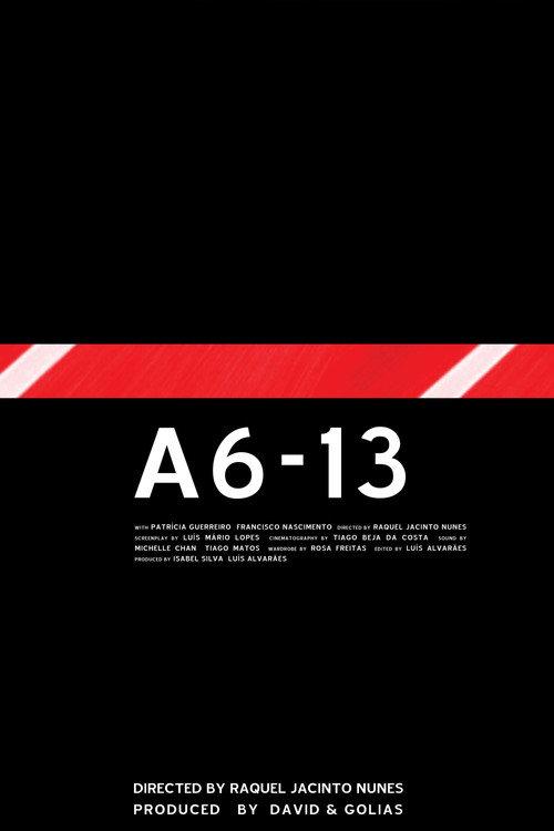A6-13 official movie poster