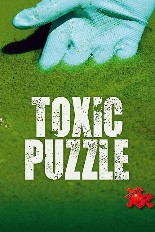 Toxic Puzzle 2017 official movie poster