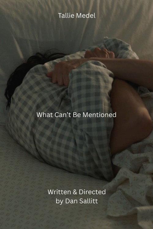 What Can't Be Mentioned 2026 official movie poster