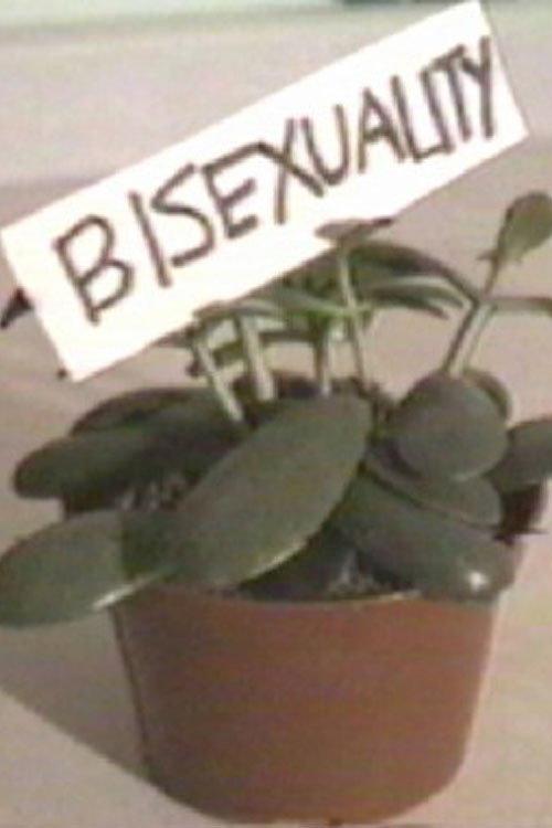 Bisexual Wannabe 1997 official movie poster
