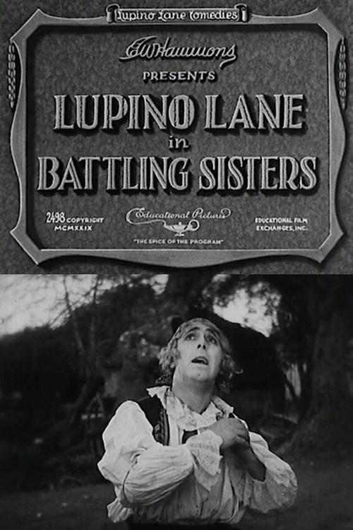 Battling Sisters 1929 official movie poster