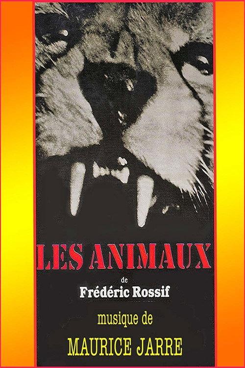 The Animals 1963 official movie poster