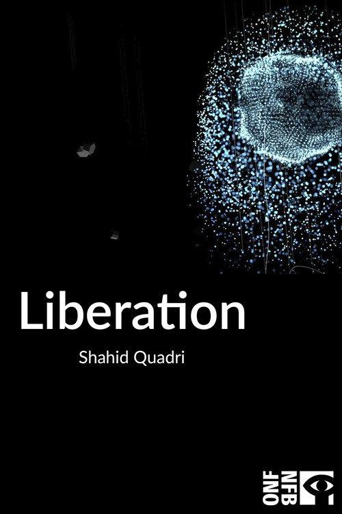 Liberation 2013 official movie poster
