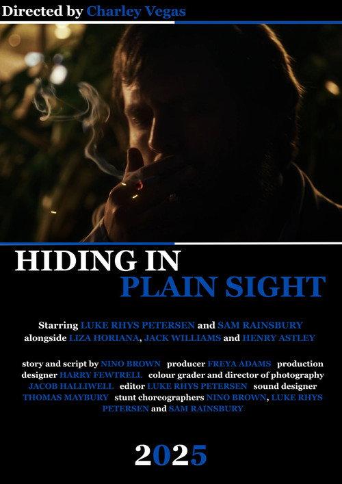 Hiding in Plain Sight 2025 official movie poster