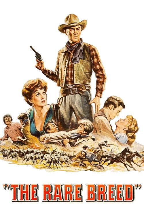 The Rare Breed 1966 official movie poster