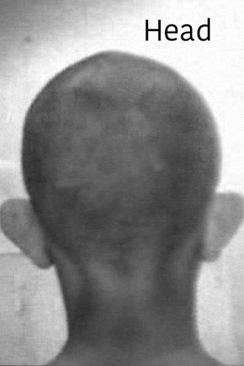 Head 1976 official movie poster