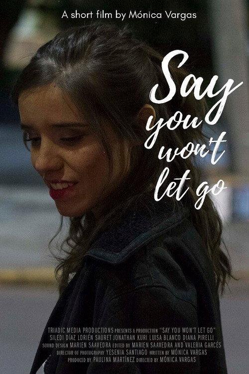 Say You Won't Let Go official movie poster