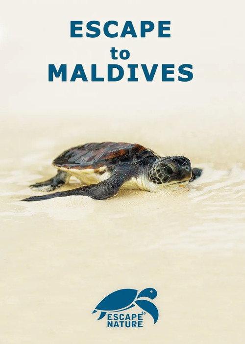 Escape to Maldives 2015 official movie poster