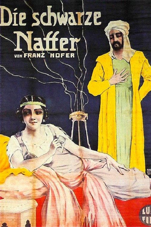 Die schwarze Natter 1913 official movie poster