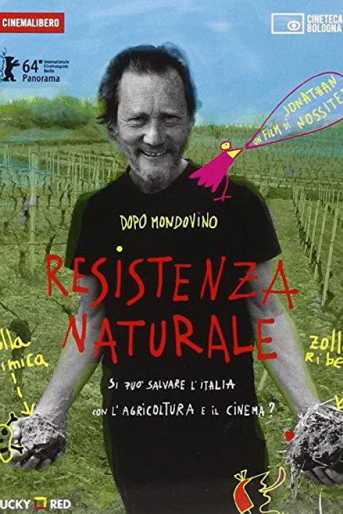 Resistenza alsaziana 2014 official movie poster