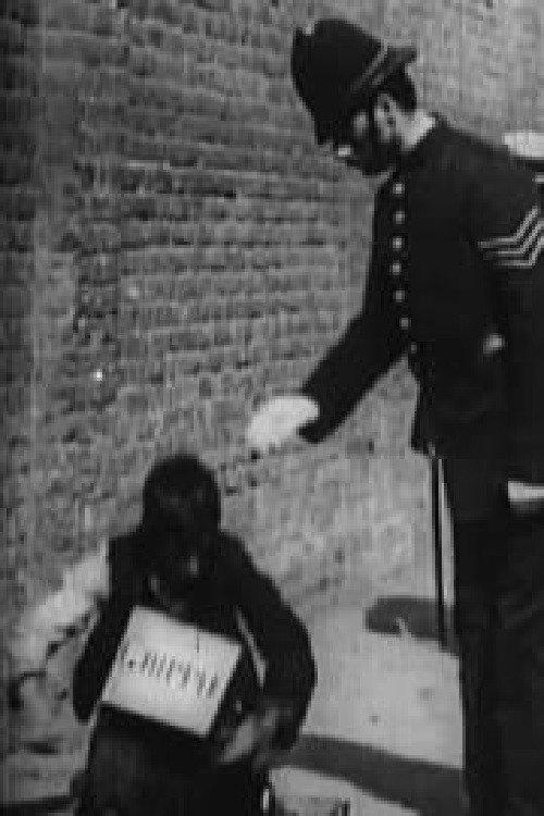 The Beggar's Deceit 1900 official movie poster