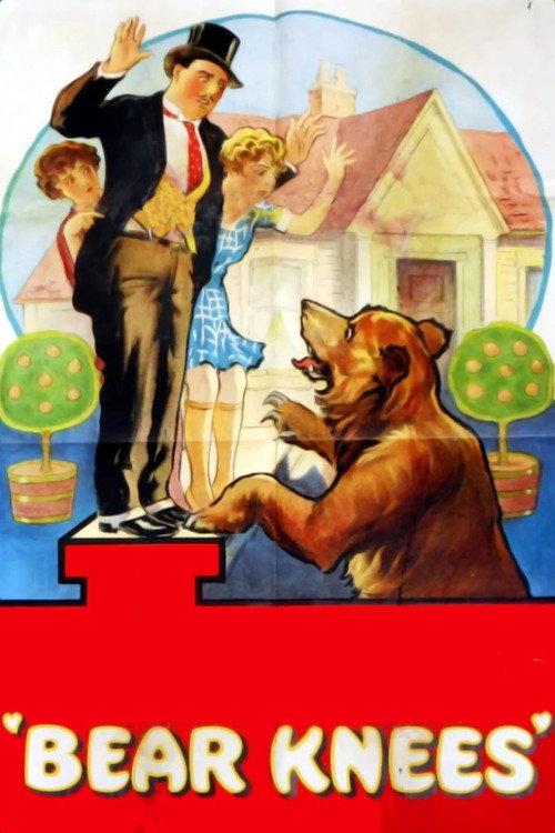 Bear Knees 1928 official movie poster