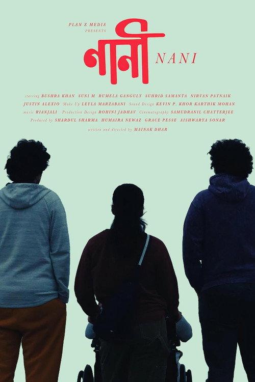Nani 2025 official movie poster