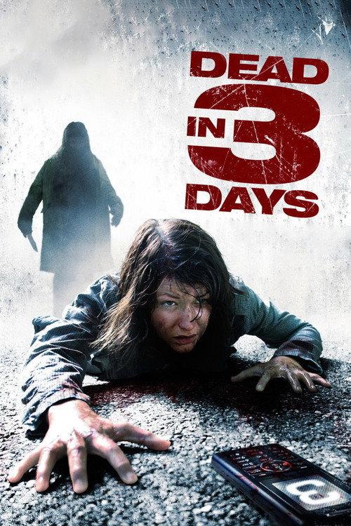 Dead in 3 Days 2006 official movie poster
