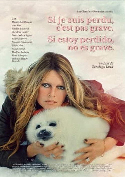 It’s Alright If I’m Lost 2014 official movie poster