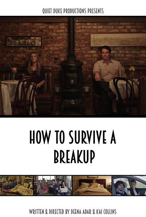 How to Survive a Breakup 2015 official movie poster