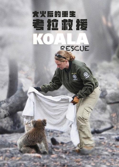 Koala Rescue 2020 official movie poster